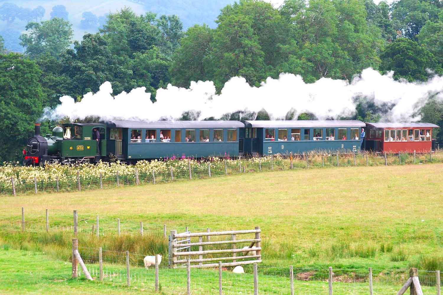 Welshpool & Llanfair Light Railway - Support us and volunteer